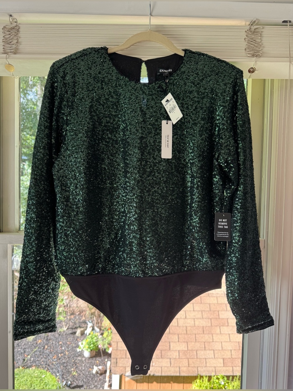 Express Women's Dark Green Sequin Long-Sleeve Bodysuit